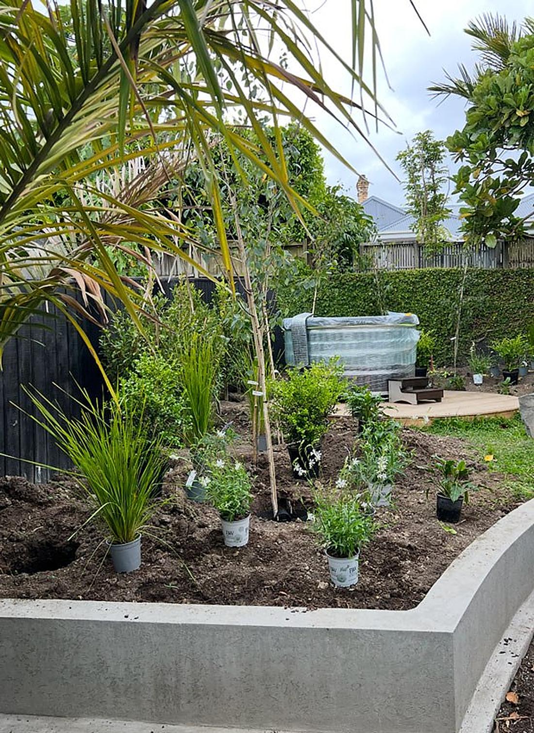 An overgrown garden section before being worked on