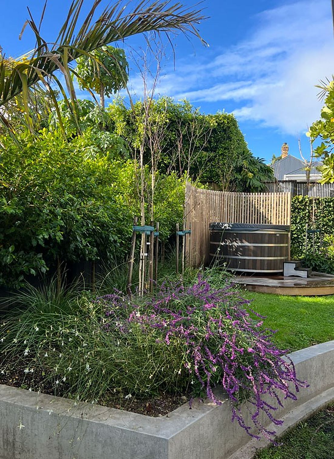 A replanted Auckland garden bed after a Ponsonby Gardens makeover
