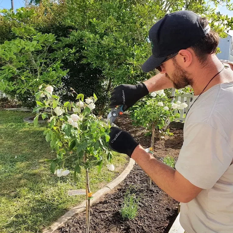 Marko, founder and lead gardener at Ponsonby Gardens