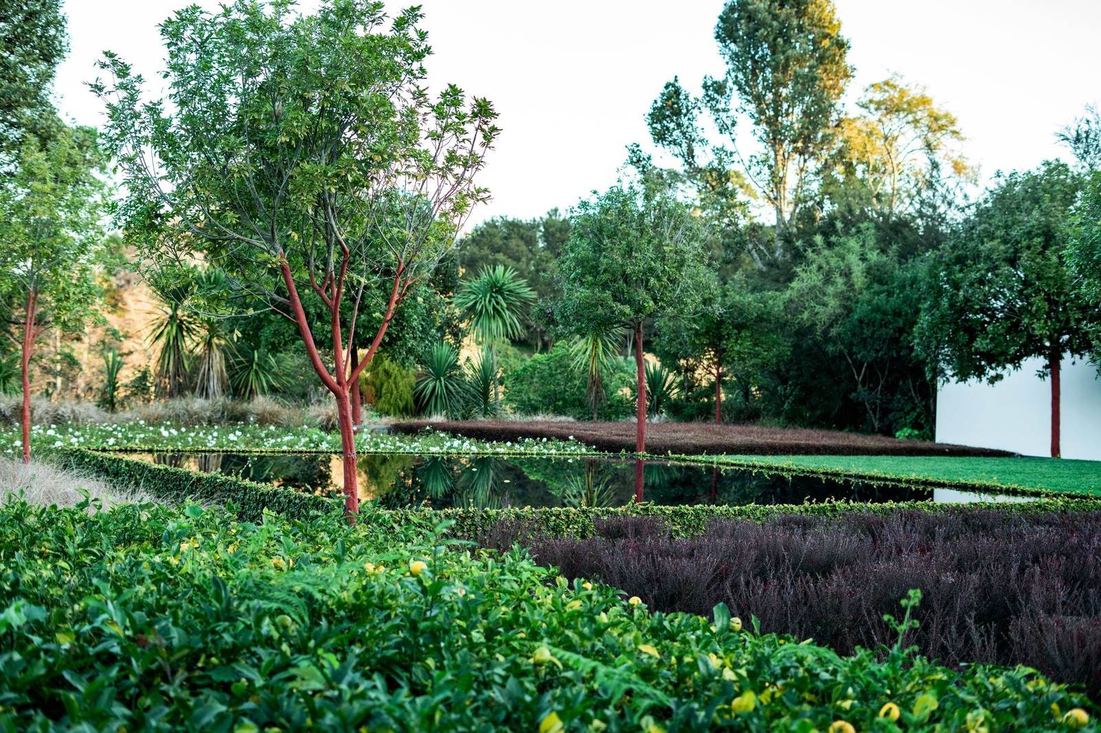 Landscaped garden grounds in a central Auckland suburb