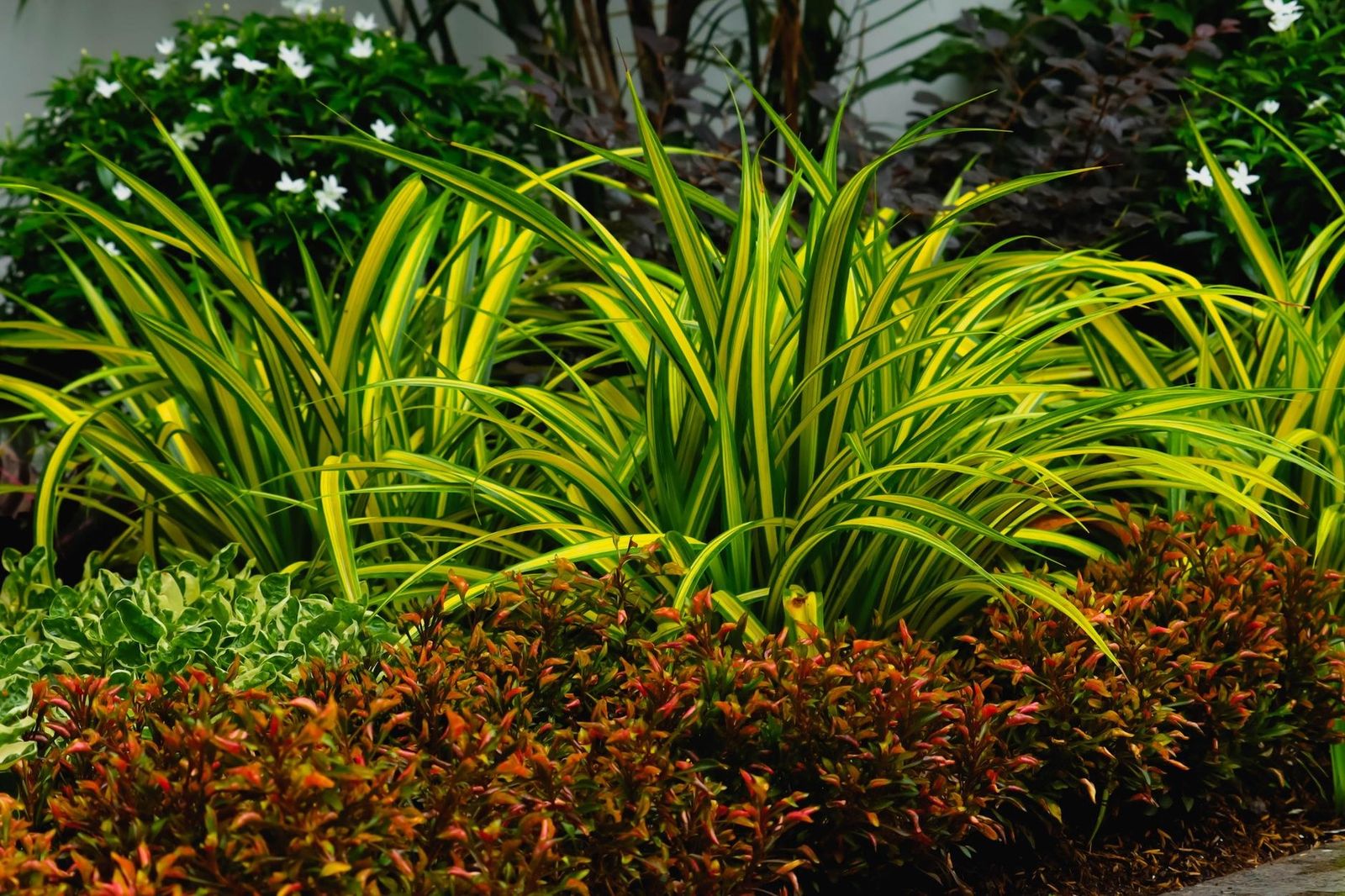 A mulched, organically maintained garden bed